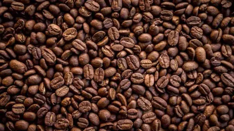 The 10 Best Espresso Beans For 2022