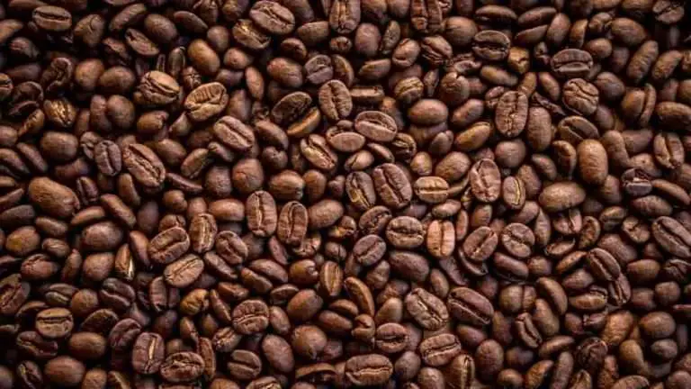 The 10 Best Espresso Beans For 2022