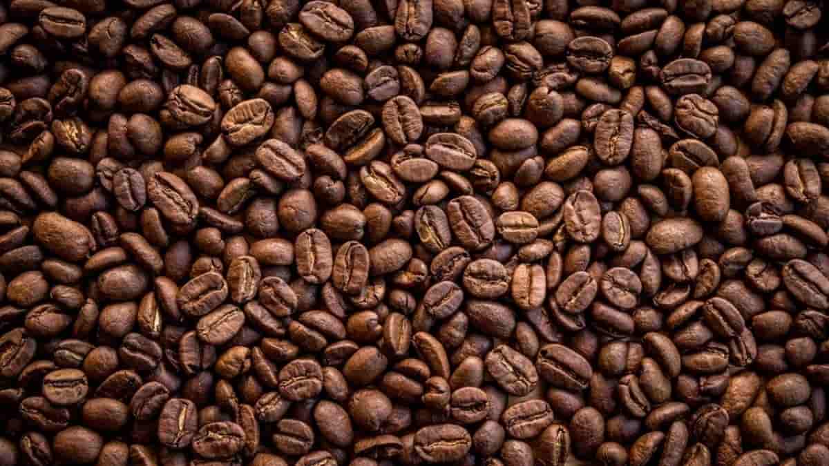 You are currently viewing The 10 Best Espresso Beans For 2022