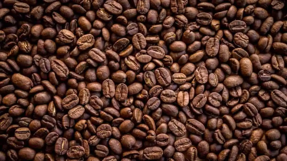 Best Espresso Beans