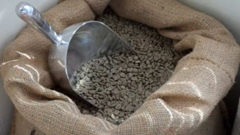 How long do green coffee beans last