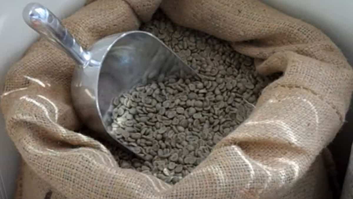 Read more about the article How long do green coffee beans last