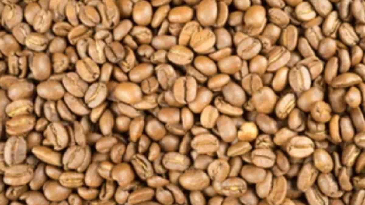 What is Blonde Roast Coffee