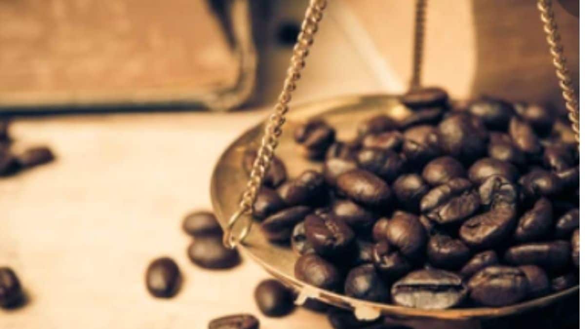Read more about the article How Much Does a Coffee Bean Weigh