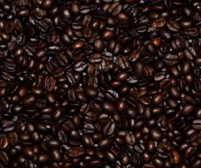 Why are some coffee beans oily