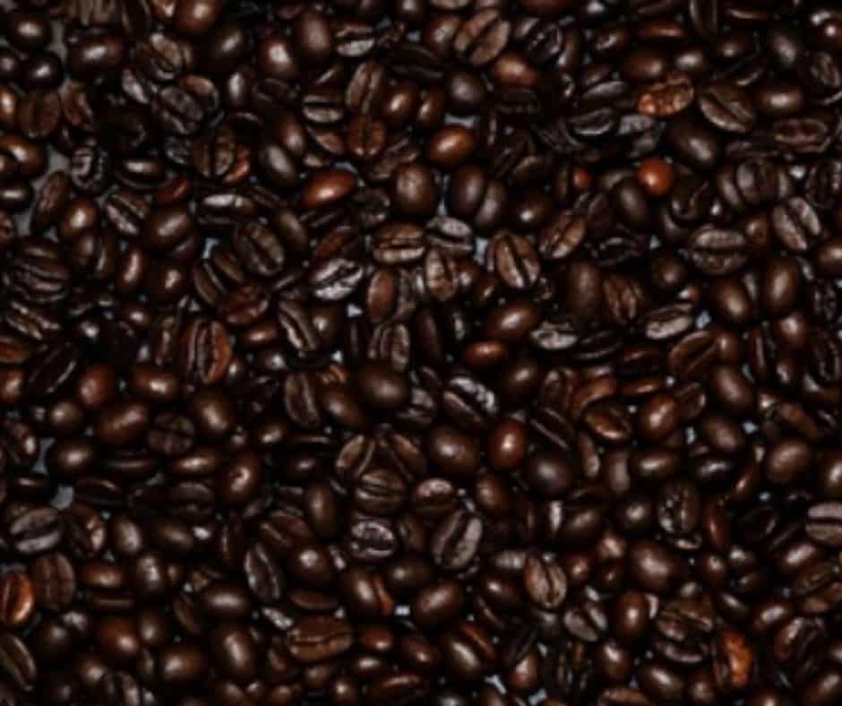 Is it normal for coffee beans to be oily