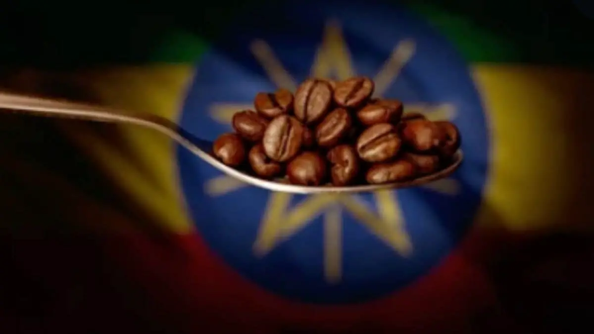 What Country Has The Best Coffee