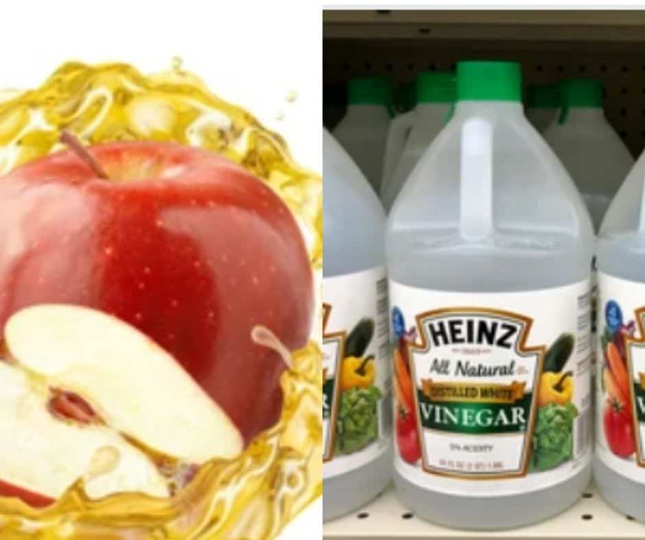 What's the difference between apple cider vinegar and white distilled vinegar