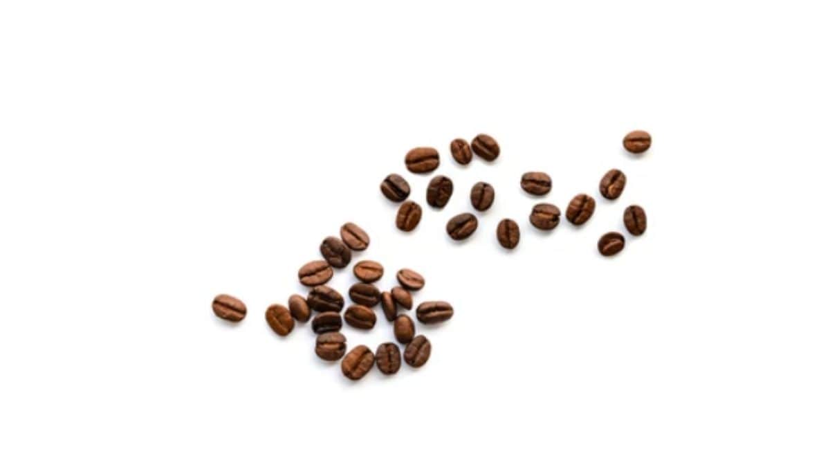 Why are some coffee beans oily