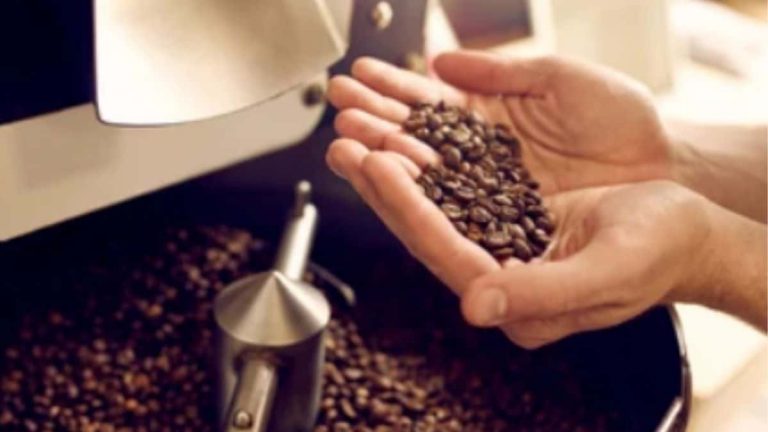 How would the roasting time of coffee beans affect their caffeine content?