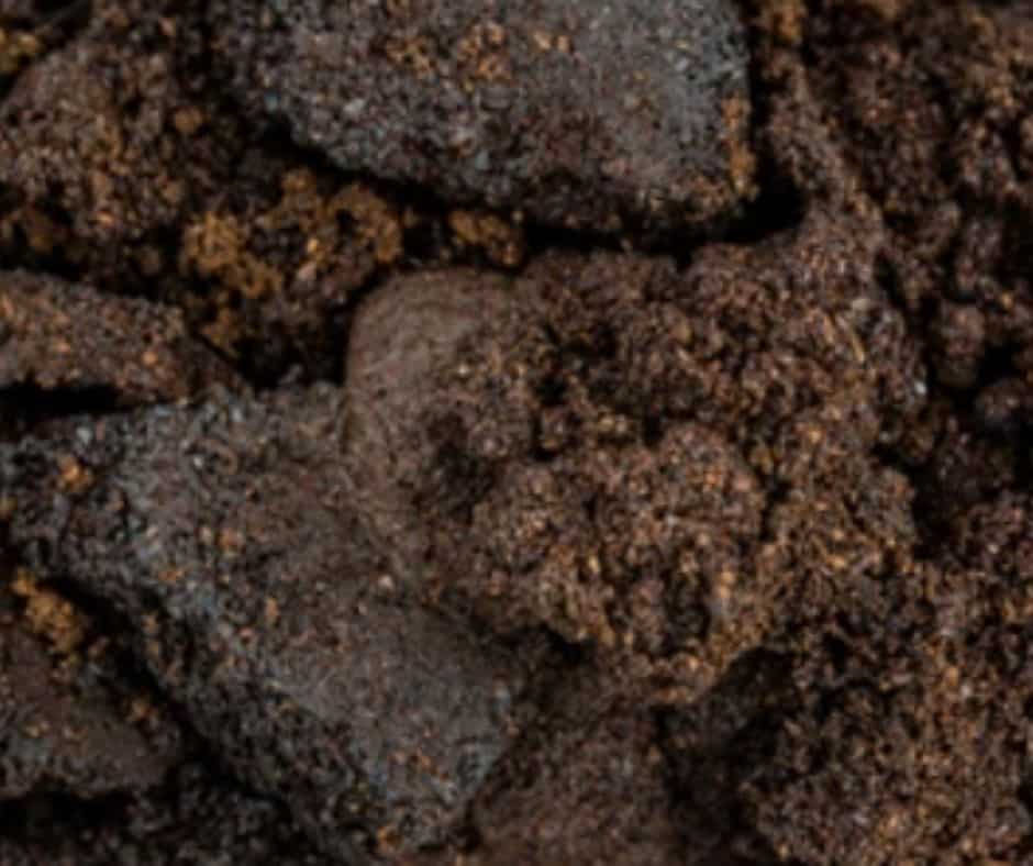 can you dissolve coffee grounds