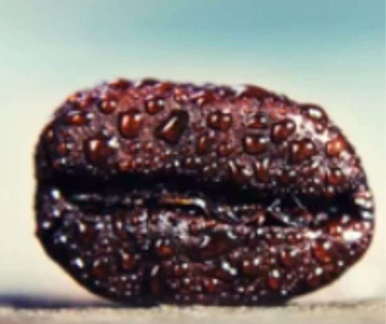 What Dissolves Coffee Grounds?