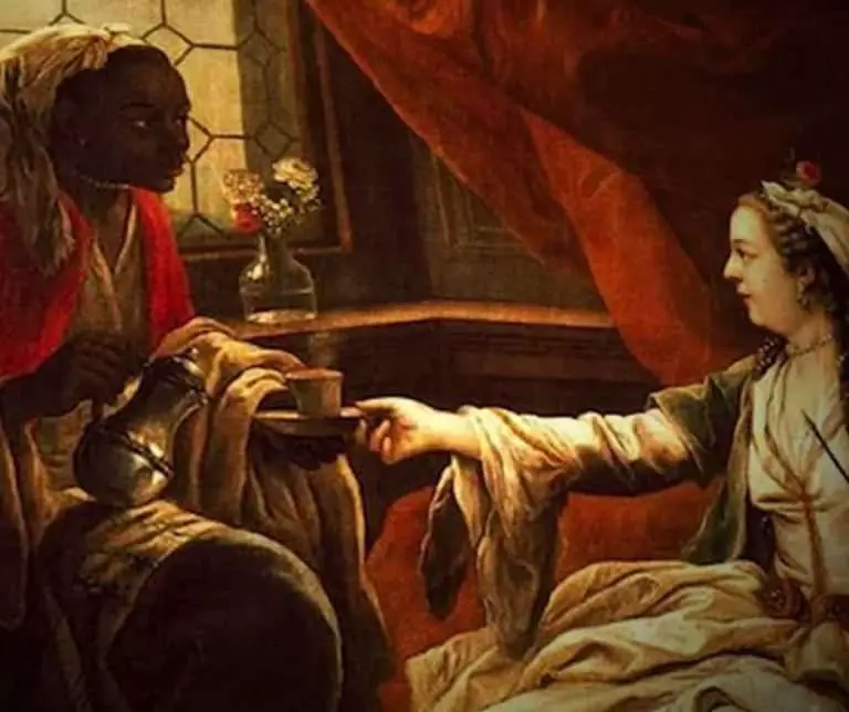 coffee bean quality standards