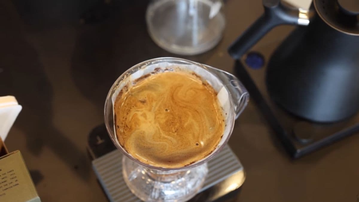 You are currently viewing Hoffmann clever dripper