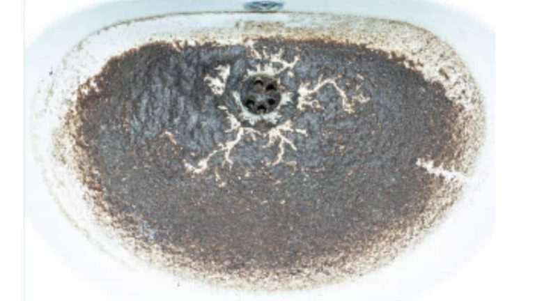 Drano coffee grounds