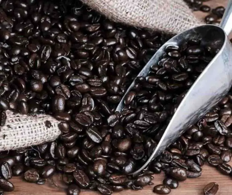 why does my coffee look oily