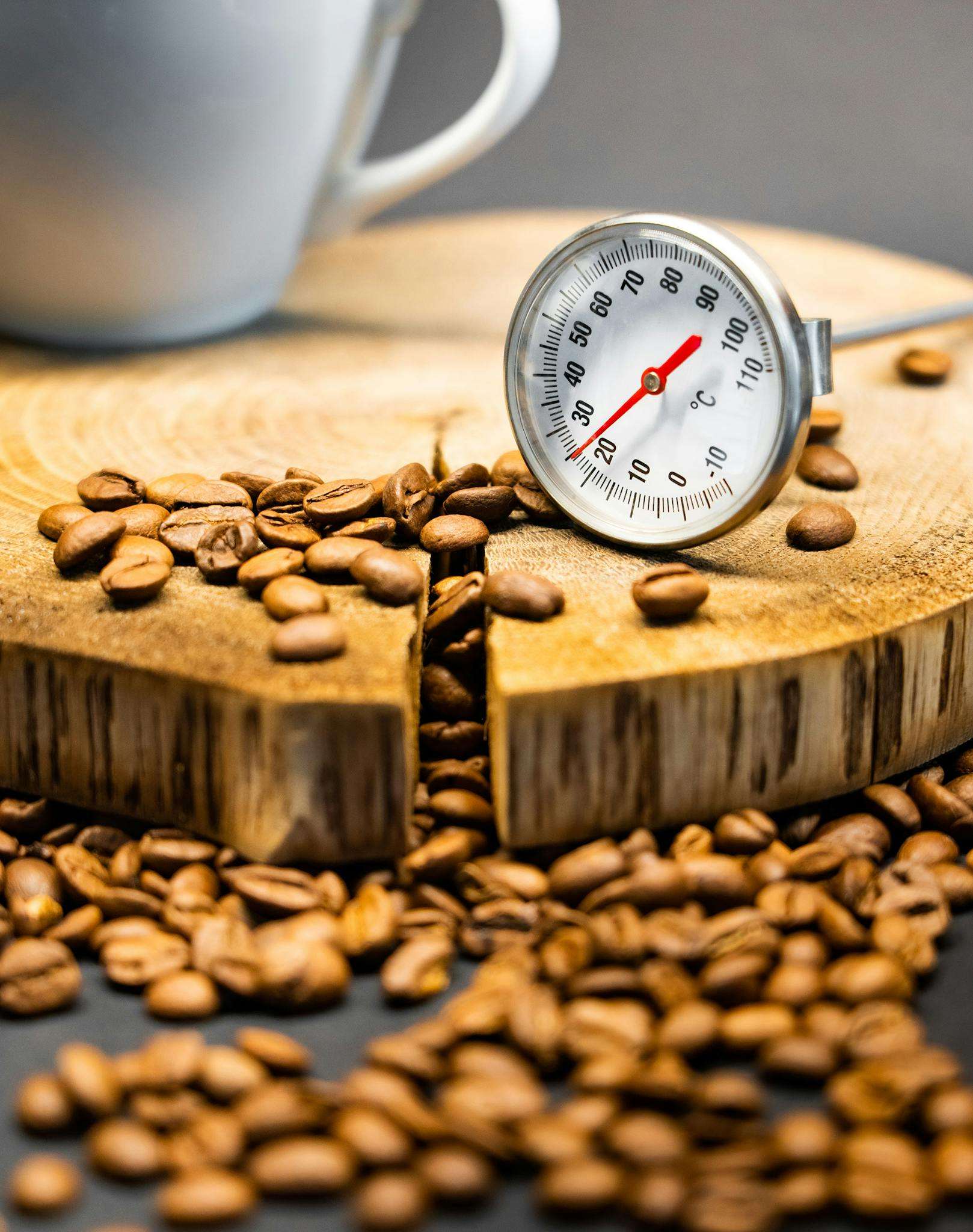 Coffee beans with a thermometer. Barista tools